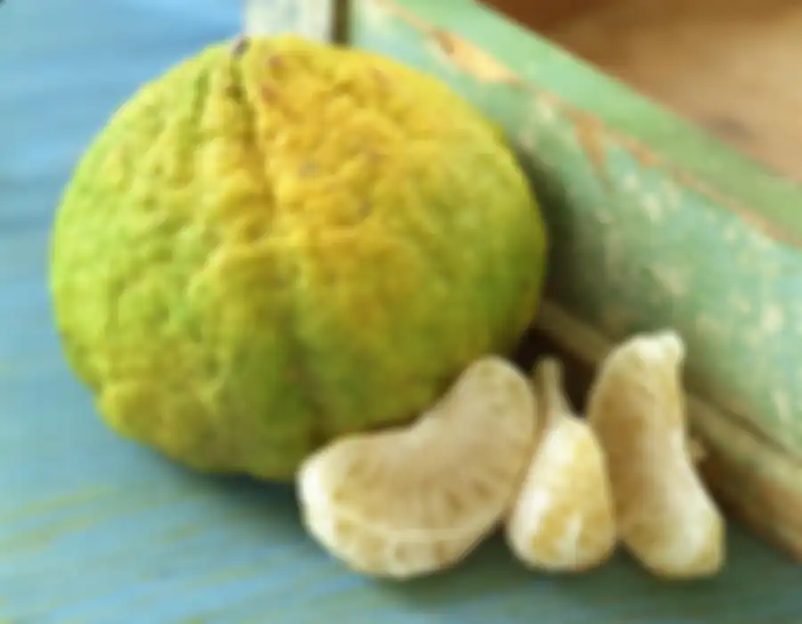 Buah ugli