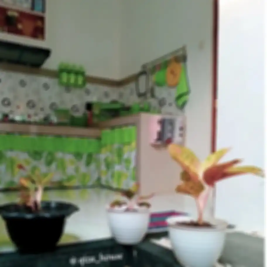 Terlanjur cari-cari foto inspirasi, ternyata desain kolong dapur mungil tampak kian cantik cuma modal gorden dibuat begini. 