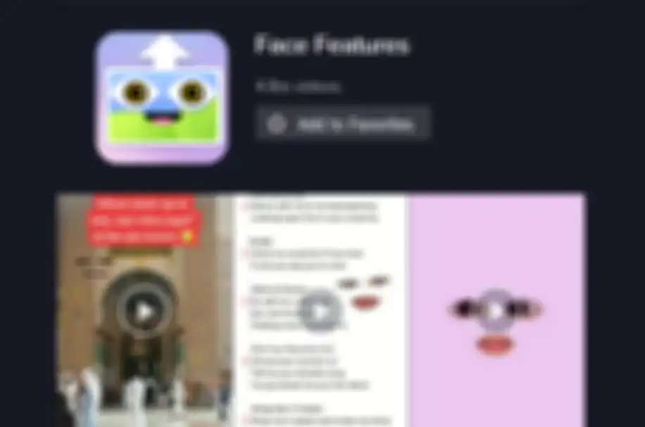 Filter Face Features TikTok