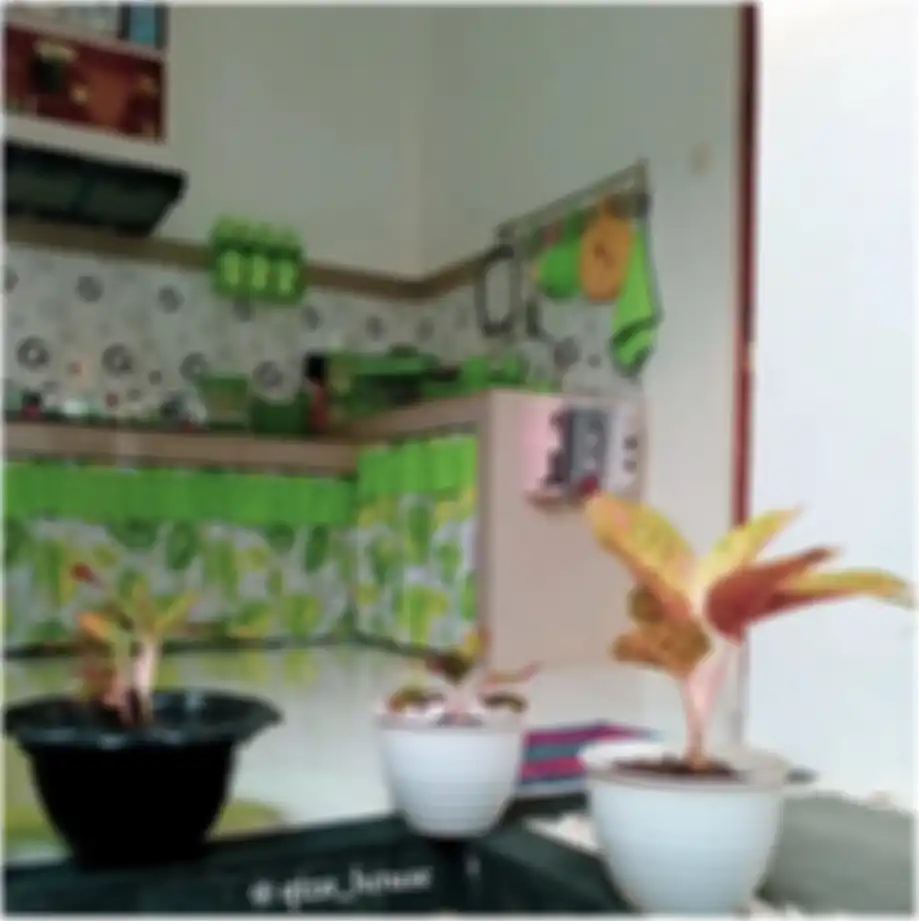 Gorden kain penutup jadi rahasia desain dapur minimalis agar sedap dipandang. Lihat 7 foto estetiknya yang memberi bukti. 