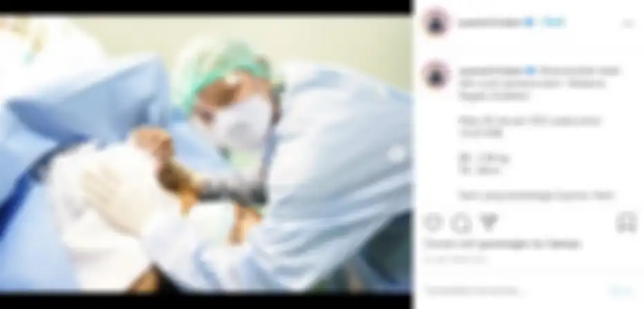 Unggahan instagram.com/syamsir11alam