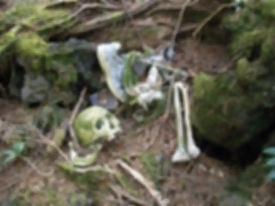 Hutan Aokigahara, tempat bunuh diri di Jepang.