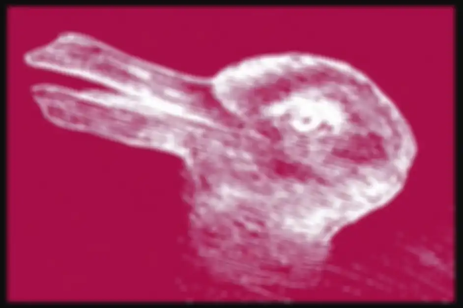 Kuis: bebek atau kelinci?