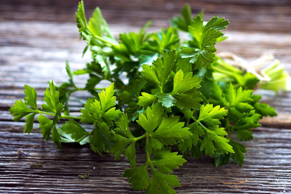 6 Sayuran Tinggi Kalsium yang Bantu Tulang Sehat saat Tua