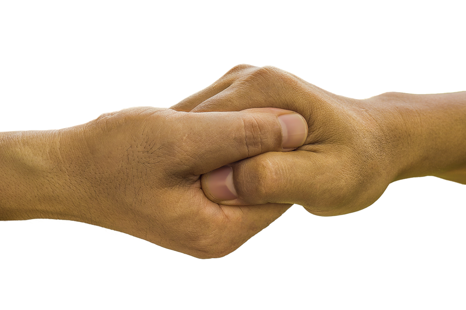 3 Shio Paling Berjiwa Sosial, Cocok Kerja di LSM dan Jadi Pahlawan Sejuta Umat