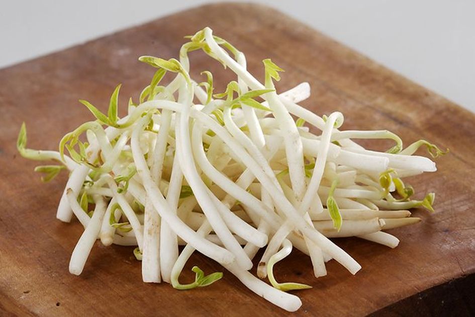 Ibu-ibu Nyesel Banget baru Tau Sekarang! Jangan Lagi Masak Tauge Bersama dengan Akarnya Kalau Nggak Mau Hal Merugikan Ini Terjadi