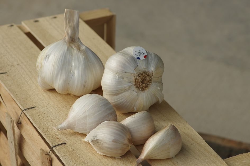 Inilah 5 rekomendasi makanan untuk menurunkan risiko kanker.