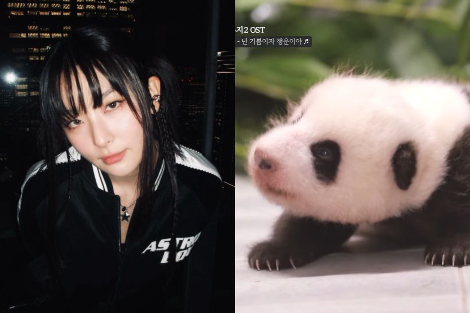 Seulgi Red Velvet Ucapkan Selamat Tinggal Pada Panda Fubao Lewat Lagu Baru 'You're My Joy and Luck'