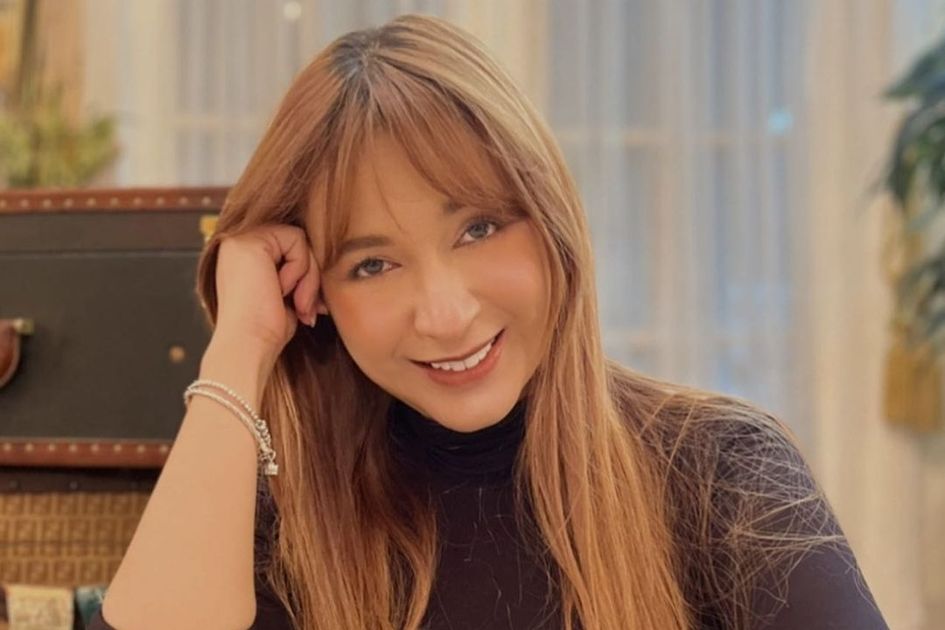 Pecinta Hewan, Puput Novel Dirikan Shelter untuk Kucing dan Anjing Semasa Hidupnya