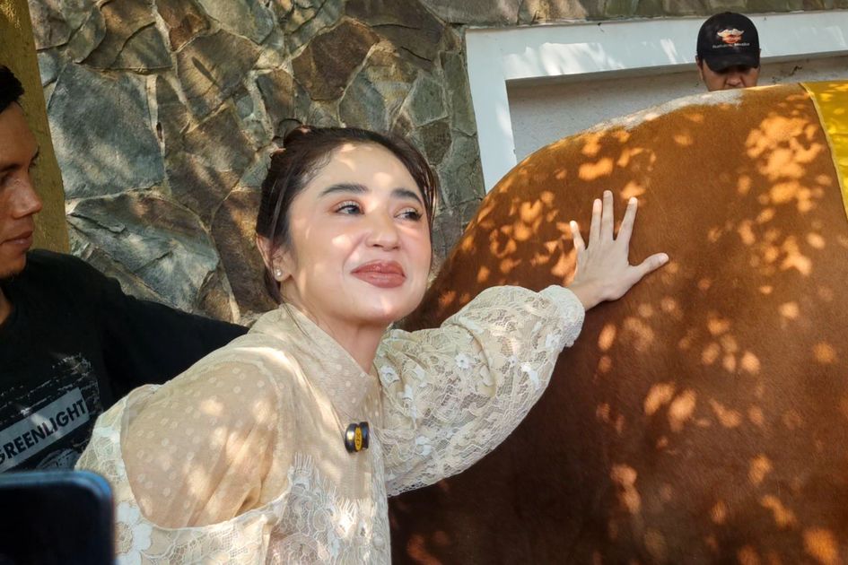 
						Dewi Perssik Kurban 17 Ekor Sapi untuk Idul Adha 2025, Berkah dari Viral 'Nona Ambon'
					