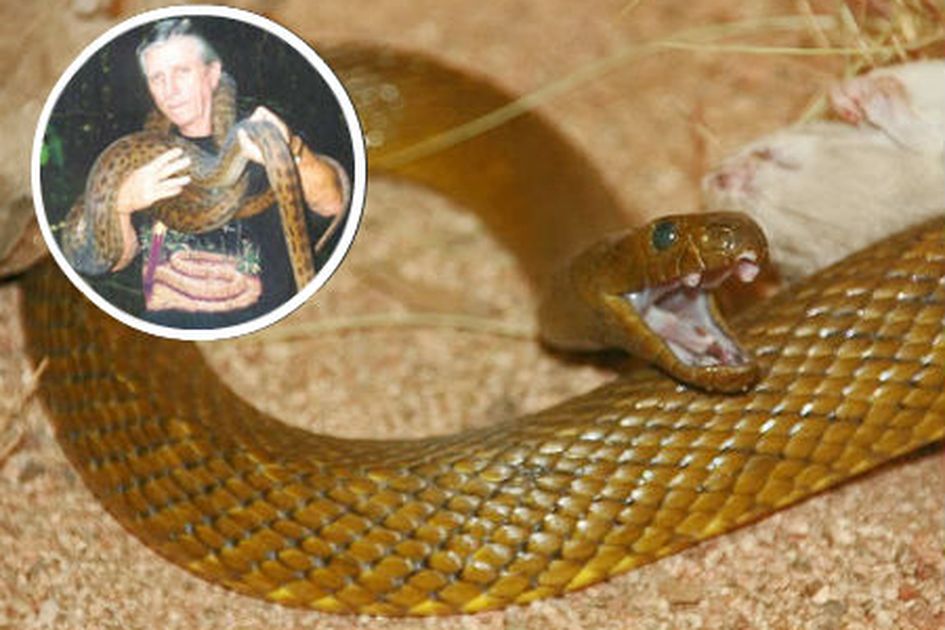 Jinsiy olatni rentgenogrammasi