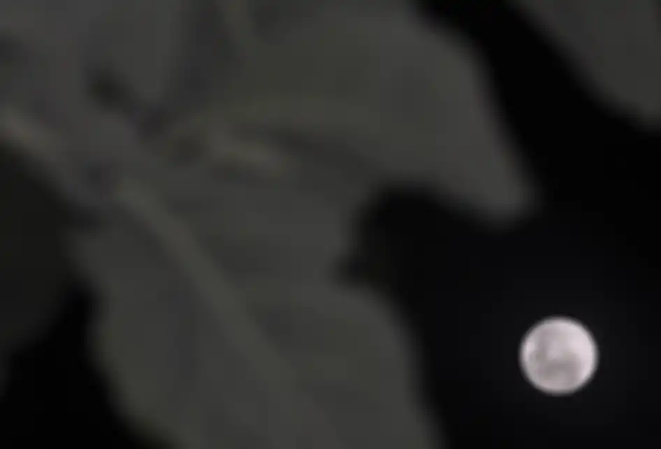 Fenomena alam Supermoon terlihat dari Palu, Sulawesi Tengah, Selasa (19/2/2019). Badan Meteorologi, Klimatologi, dan Geofisika (BMKG) melansir fenomena Supermoon kali ini atau disebut juga Super Snow Moon terjadi saat bulan berada pada titik perige terdekat yakni 363.300 km dari bumi sehingga bulan 