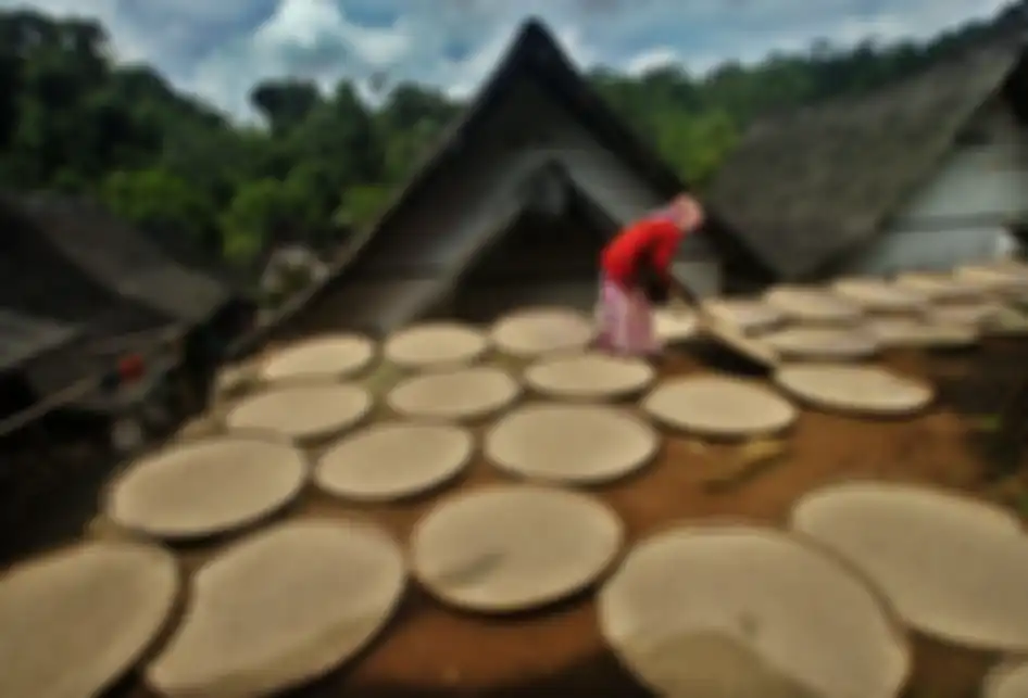Foto dirilis Rabu (30/1/2019), menunjukkan warga menjemur padi hasil panen raya di halaman rumahnya di Kampung Naga, Kabupaten Tasikmalaya, Jawa Barat. Warga Kampung Naga merupakan salah satu masyarakat adat yang masih memegang tradisi nenek moyang mereka, salah satunya adalah tradisi panen padi.