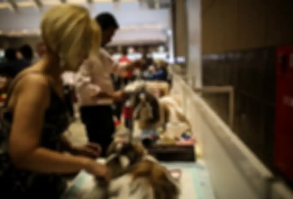 Suasana saat pameran Jakarta Indonesia Pet Show (JIPS) 2019 di JIExpo Kemayoran, Jakarta Utara, Sabtu (23/2/2019). Pameran hewan peliharaan dan hewan hobi terbesar di Asia Tenggara tersebut diikuti oleh 150 peserta pameran dari dalam maupun luar negeri dan akan berlangsung hingga 24 Februari 2019.