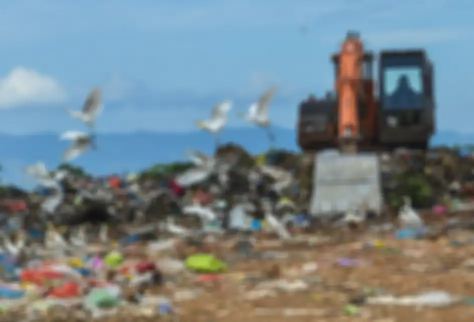 Kawanan burung kuntul putih (Babulcus ibis) mencari makan di tempat pembuangan akhir (TPA) di Blangbintang, Aceh Besar, Aceh, Jumat (22/2/2019). Kawanan burung yang biasa hidup di pesisir pantai dan hutan mangrove dengan memangsa ikan kecil dan parasit itu saat ini telah beralih dengan mencari makan