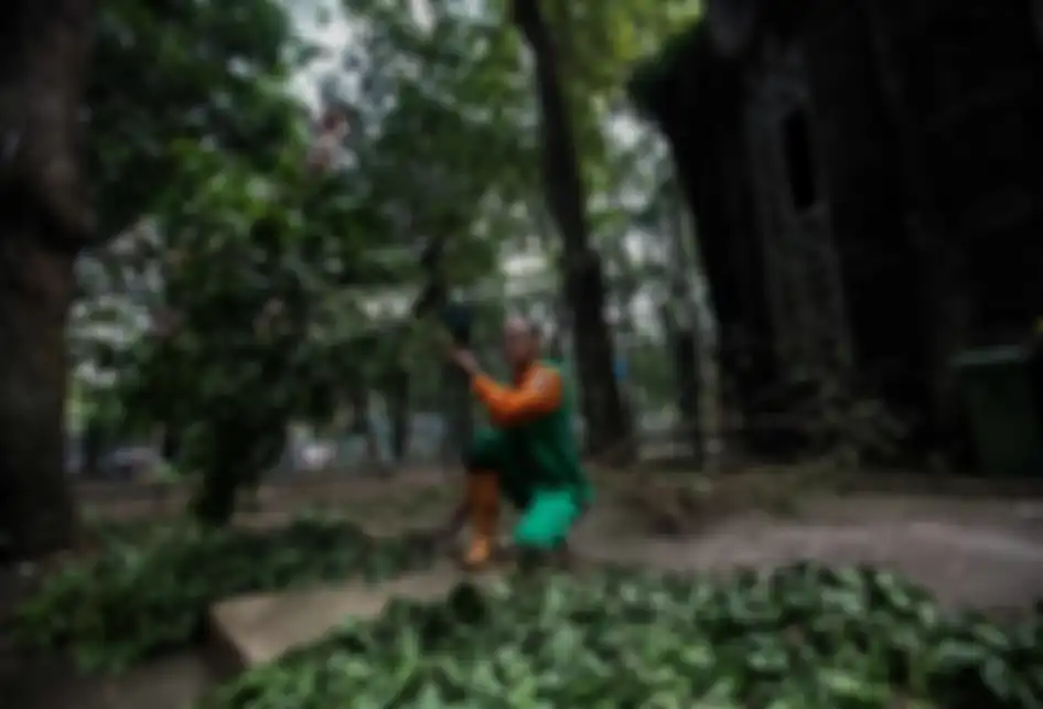 Pengasuh hewan saat memberikan makan jerapah di Kebun Binatang Ragunan, Jakarta Timur, Rabu (20/3/2019). Makanan-makanan yang diberikan adalah sayuran wortel, kacang panjang, dan daun kupu-kupu.