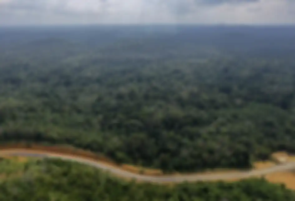 Foto udara kawasan Bukit Nyuling, Tumbang Talaken Manuhing, Gunung Mas, Kalimantan Tengah, Kamis (25/7/2019). Daerah yang menjadi bakal calon Ibu Kota Negara itu telah ditinjau oleh Presiden Joko Widodo pada bulan Mei lalu saat mengecek kelaikan lokasi terkait wacana pemindahan Ibu Kota Negara.