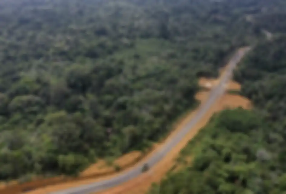 Foto udara kawasan Bukit Nyuling, Tumbang Talaken Manuhing, Gunung Mas, Kalimantan Tengah, Kamis (25/7/2019). Daerah yang menjadi bakal calon Ibu Kota Negara itu telah ditinjau oleh Presiden Joko Widodo pada bulan Mei lalu saat mengecek kelaikan lokasi terkait wacana pemindahan Ibu Kota Negara.