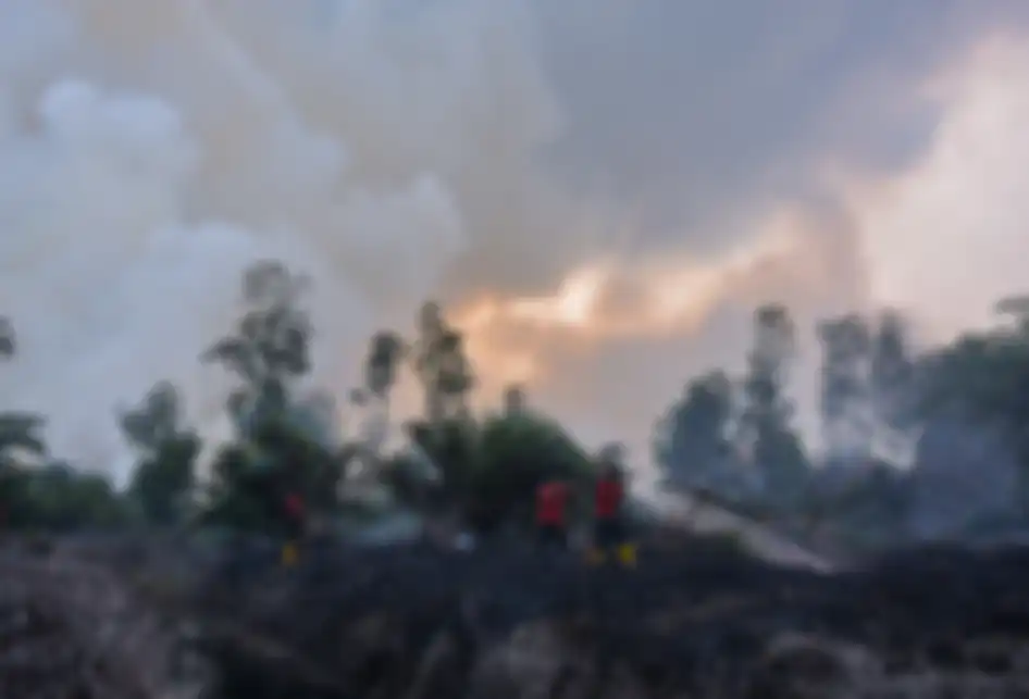 Sejumlah petugas pemadam kebakaran PT Riau Andalan Pulp and Paper (RAPP) berusaha memadamkan kebakaran lahan gambut di Desa Penarikan Kecamatan Langgam Kabupaten Pelalawan, Riau, Minggu (28/7/2019). Upaya Satgas Karhutla Riau untuk memadamkan kebakaran hutan dan lahan tidak bisa optimal akibat angin