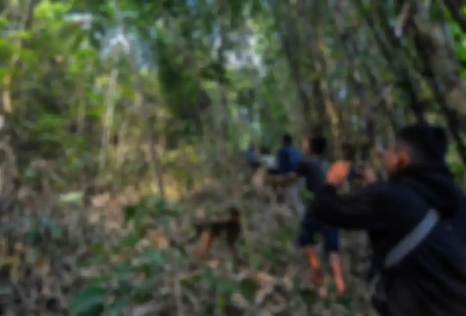 Warga melacak macan tutul (Panthera pardus) di kawasan permukiman warga Kampung Badeung, Desa Gunajaya, Kabupaten Tasikmalaya, Jawa Barat, Rabu (31/7/2019).