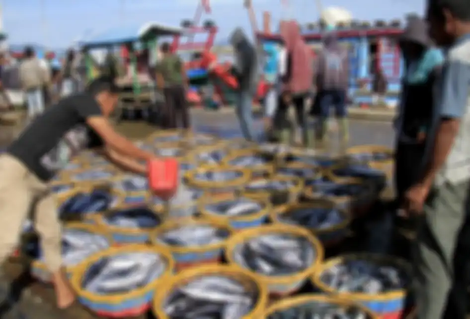 Aktivitas bongkar muat ikan hasil tangkapan nelayan di Pelabuhan Perikanan Samudera Kutaraja, Lampulo, Banda Aceh, Kamis (22/8/2019). Ikan hasil tangkapan nelayan Aceh mulai melimpah, namun harga merosot, seperti ikan tongkol dan sejenisnya dijual pedagang dengan kisaran Rp 15 ribu hingga Rp 18 ribu