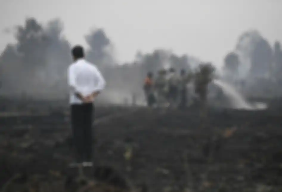 Presiden Joko Widodo meninjau penanganan kebakaran lahan di Desa Merbau, Kecamatan Bunut, Pelalawan, Riau, Selasa (17/9/2019). ANTARA FOTO/Puspa Perwitasari/aww.