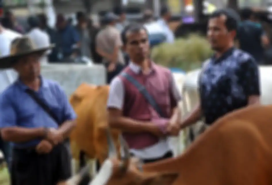 Foto dirilis Kamis (26/9/2019), memperlihatkan penjual dan pembeli melakukan tradisi Marosok saat bertransaksi di Pasar Ternak, Sungai Sariak, Padangpariaman, Sumatera Barat. Ada tradisi turun-temurun di Minangkabau yang disebut Marosok, di mana penjual dan pembeli saling meraba menggunakan jari m