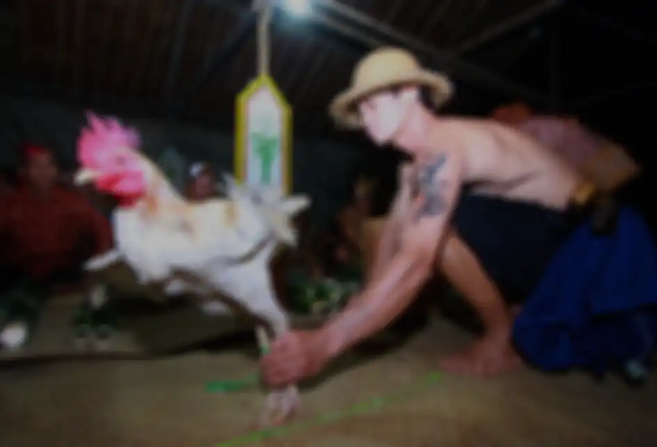 Foto dirilis Rabu (25/9/2019), memperlihatkan masyarakat adat Dayak Deah menyerahkan hasil panen saat Mesiwah Pare Gumboh di Desa Liyu, Kabupaten Balangan, Kalimantan Selatan. Prosesi Mesiwah Pare Gumboh merupakan upacara adat yang dilakukan masyarakat Dayak Deah sebagai perwujudan syukur kepada Tuh