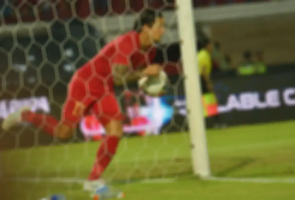 Pesepak bola Timnas Indonesia Irfan Bachdim mengambil bola setelah berhasil membobol gawang Vietnam dalam pertandingan Grup G Kualifikasi Piala Dunia 2022 zona Asia di Stadion I Wayan Dipta, Gianyar, Bali, Selasa (15/10/2019). Indonesia kalah dari Vietnam dengan skor 1-3.