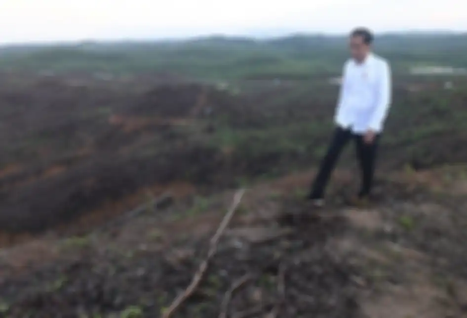 Presiden Joko Widodo meninjau lokasi rencana ibu kota baru di Sepaku, Penajam Paser Utara, Kalimantan Timur, Selasa (17/12/2019). Jokowi mengaku puas setelah meninjau lokasi tersebut yang nantinya akan dibangun kluster pemerintahan, termasuk Istana Kepresidenan.