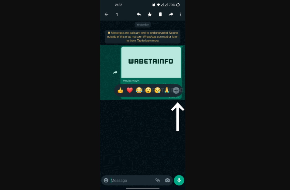 Keberadaan tombol 'Plus' pada Message Reaction WhatsApp menandakan fitur ini akan mendukung penggunaan banyak emoji