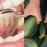 Cara Alami Membersihkan Karang Gigi dengan Timun Segar