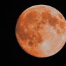 Gerhana Bulan Total Akan Hadir di Awal Maret, Bisa Dilihat di Mana Saja?