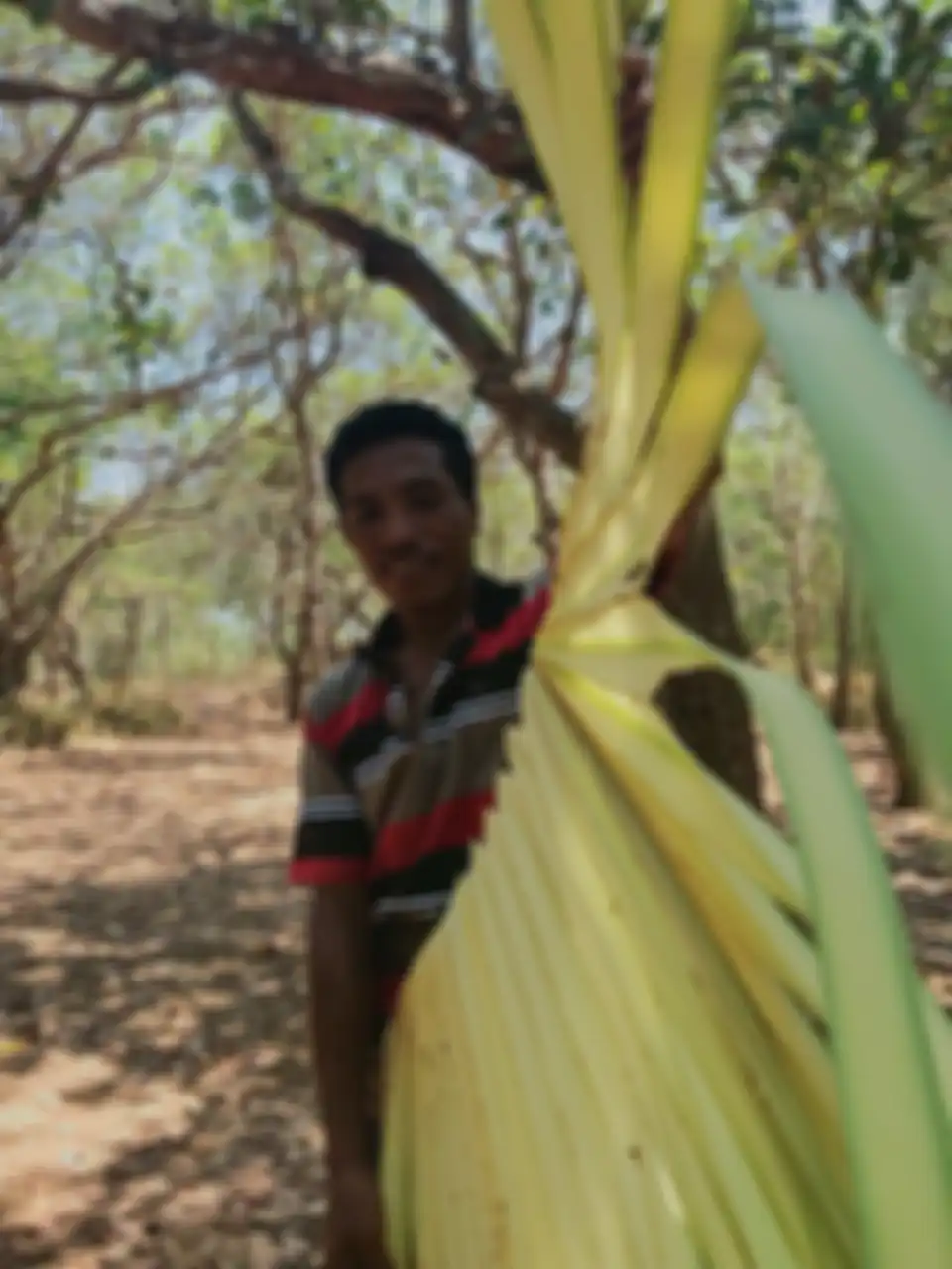 Membuat anyaman khas Flores, NTT