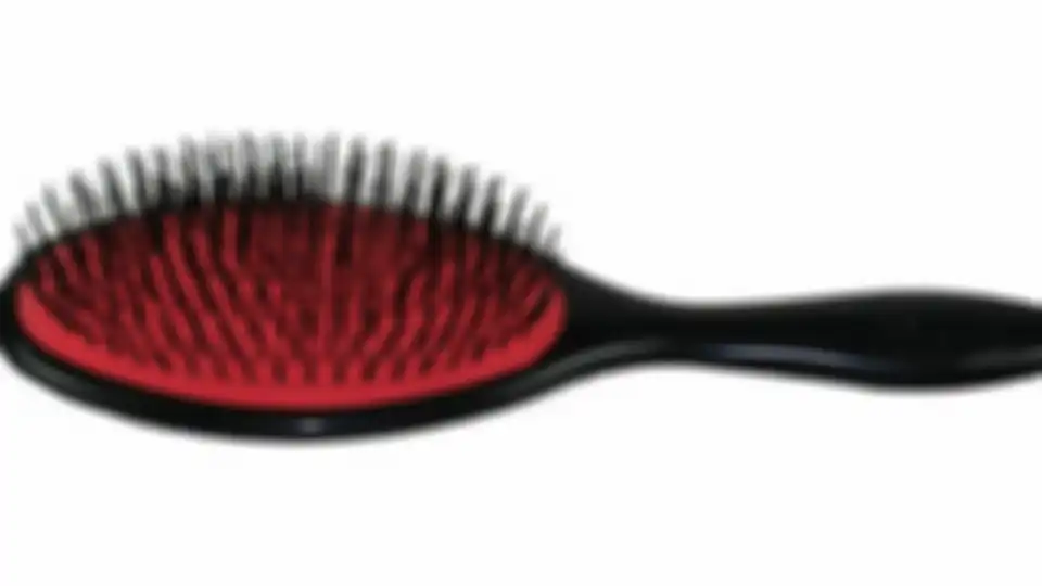 bristle brush