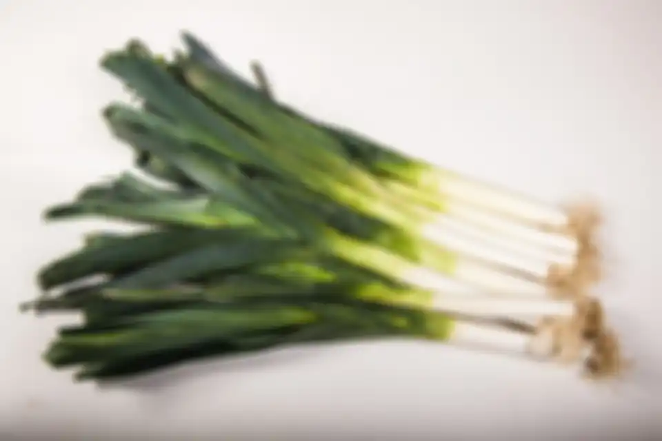 Daun bawang
