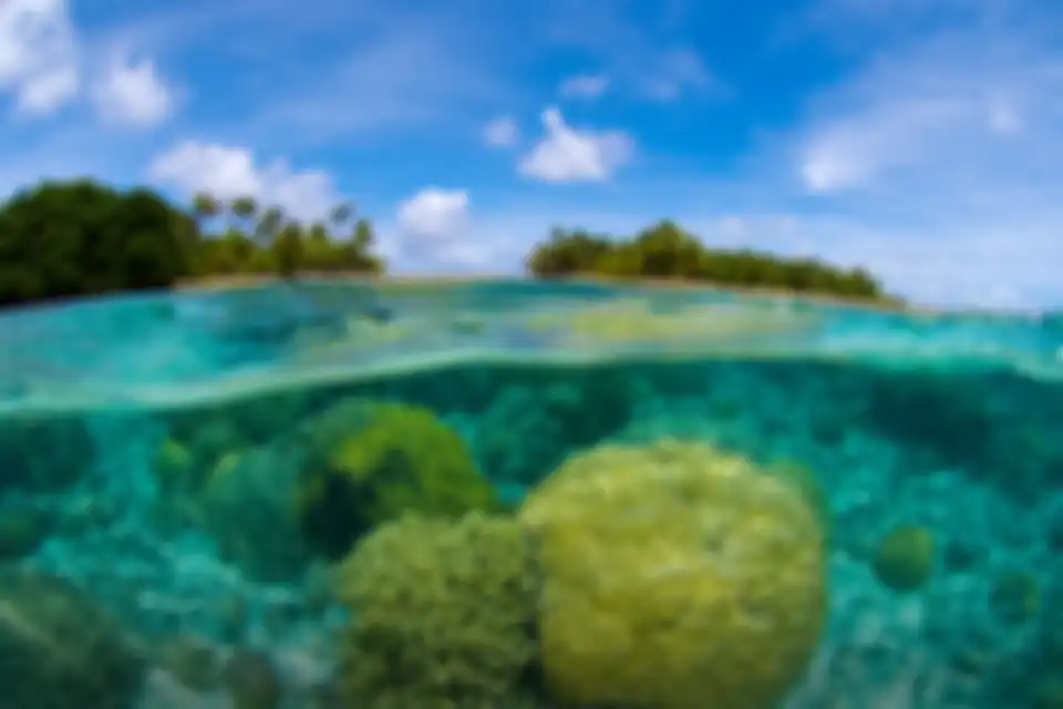 Bikini Atoll, Pulau Marshall