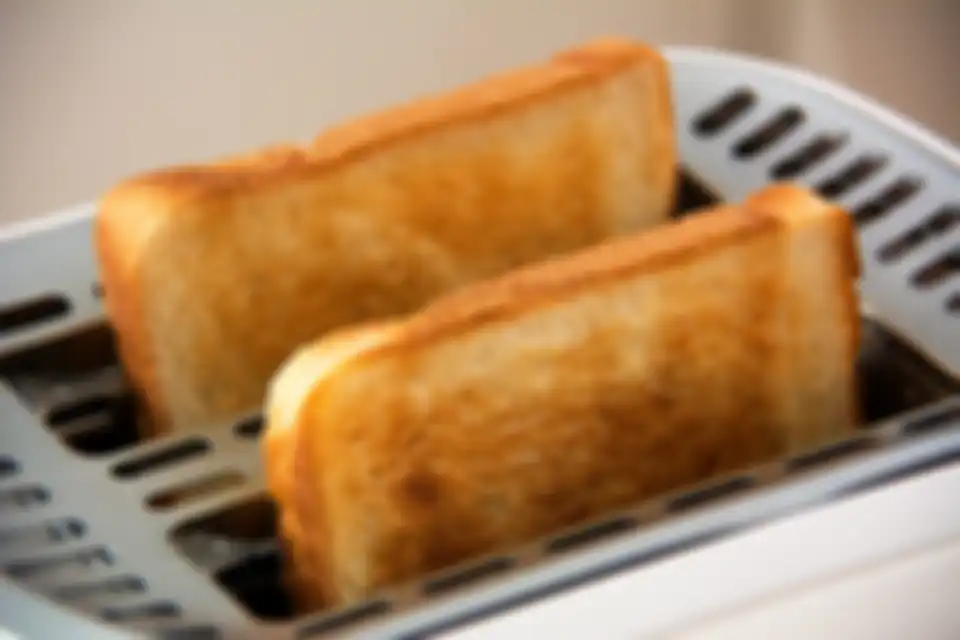 roti bakar