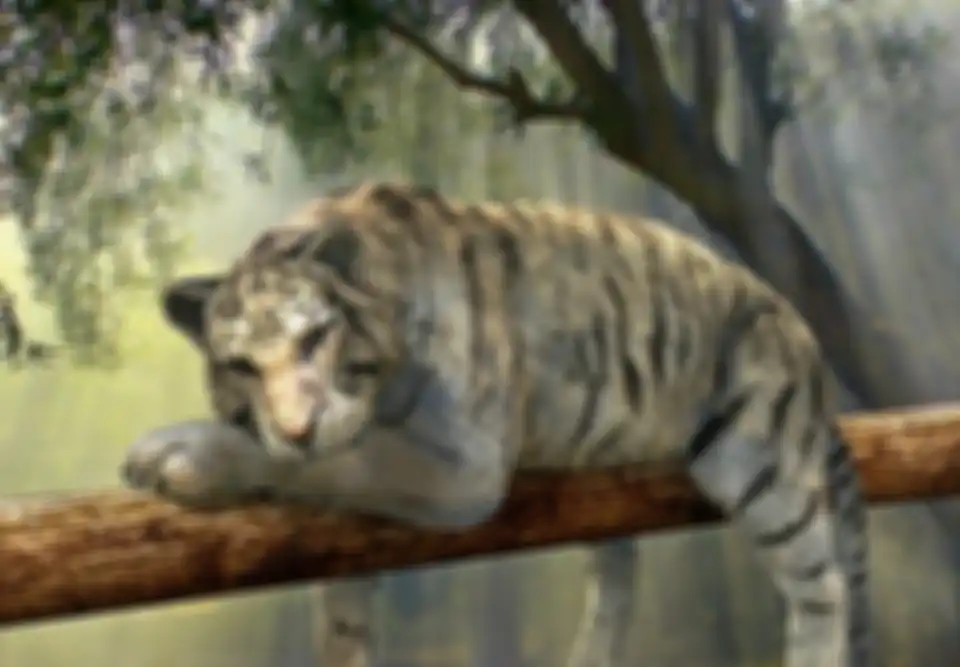 ilustrasi bertemu harimau