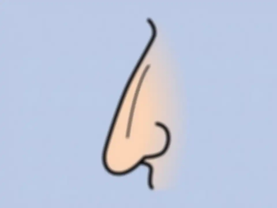 Nubian nose