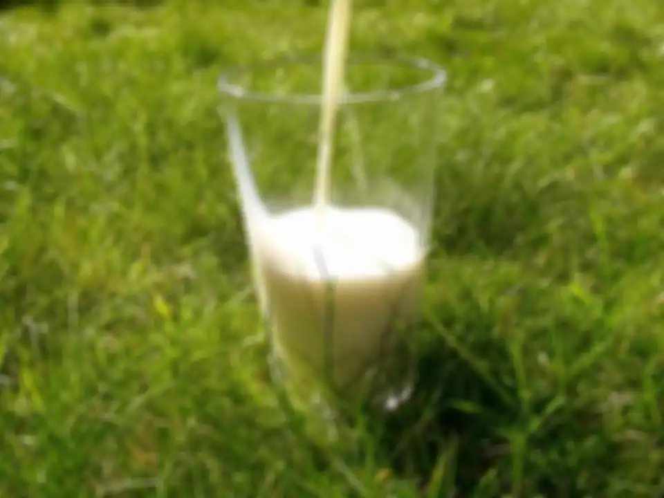 Susu mentah