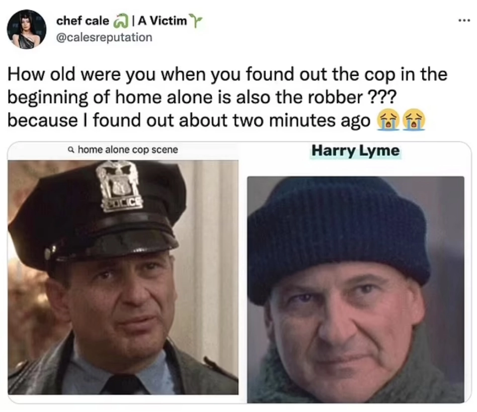 Karakter polisi dan pencuri yang sama di film Home Alone (1990)
