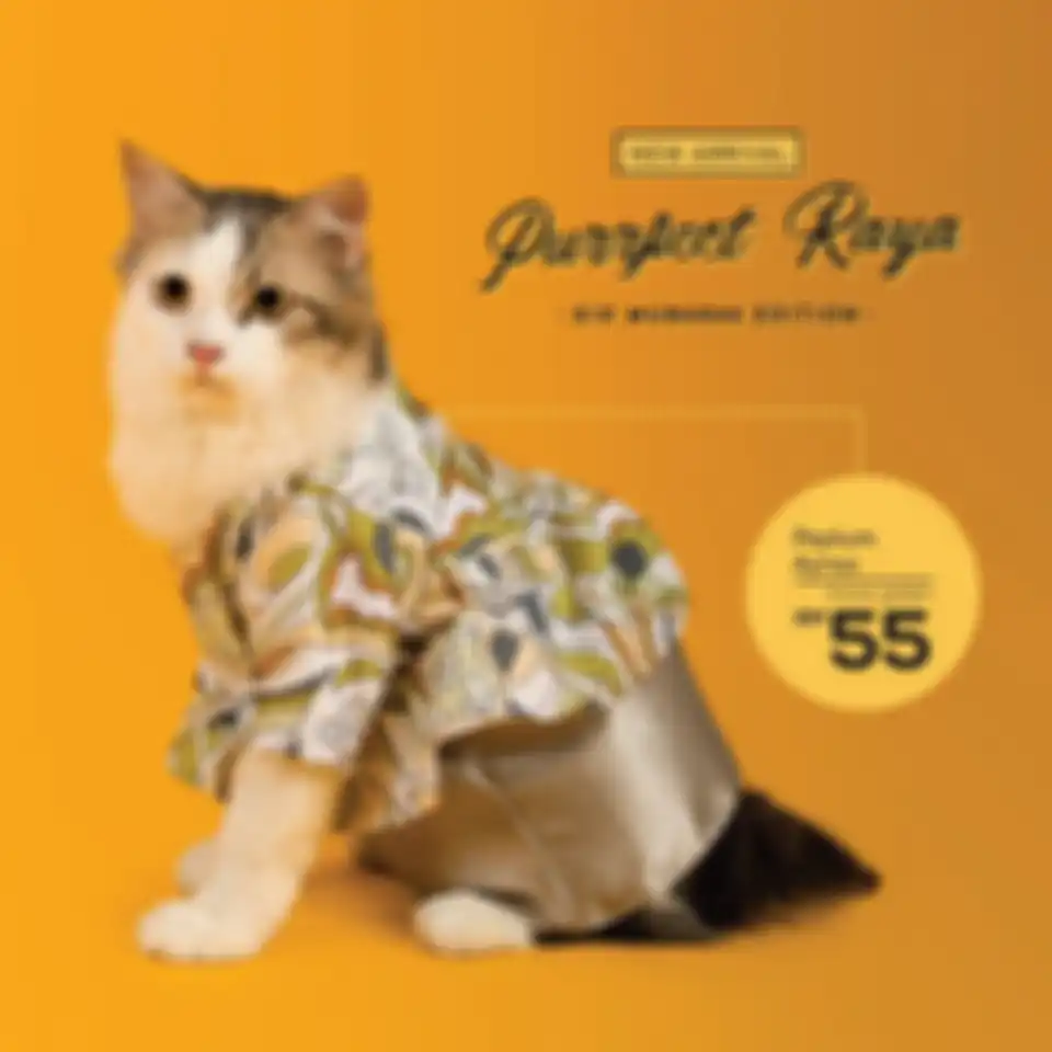 Baju Ramadan untuk Kucing