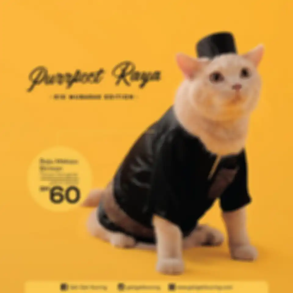 Baju Ramadan untuk Kucing