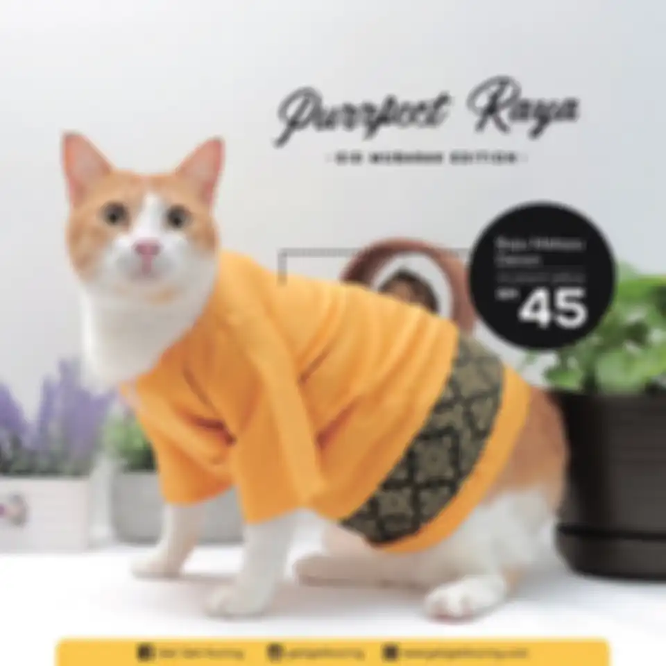 Baju Ramadan untuk Kucing