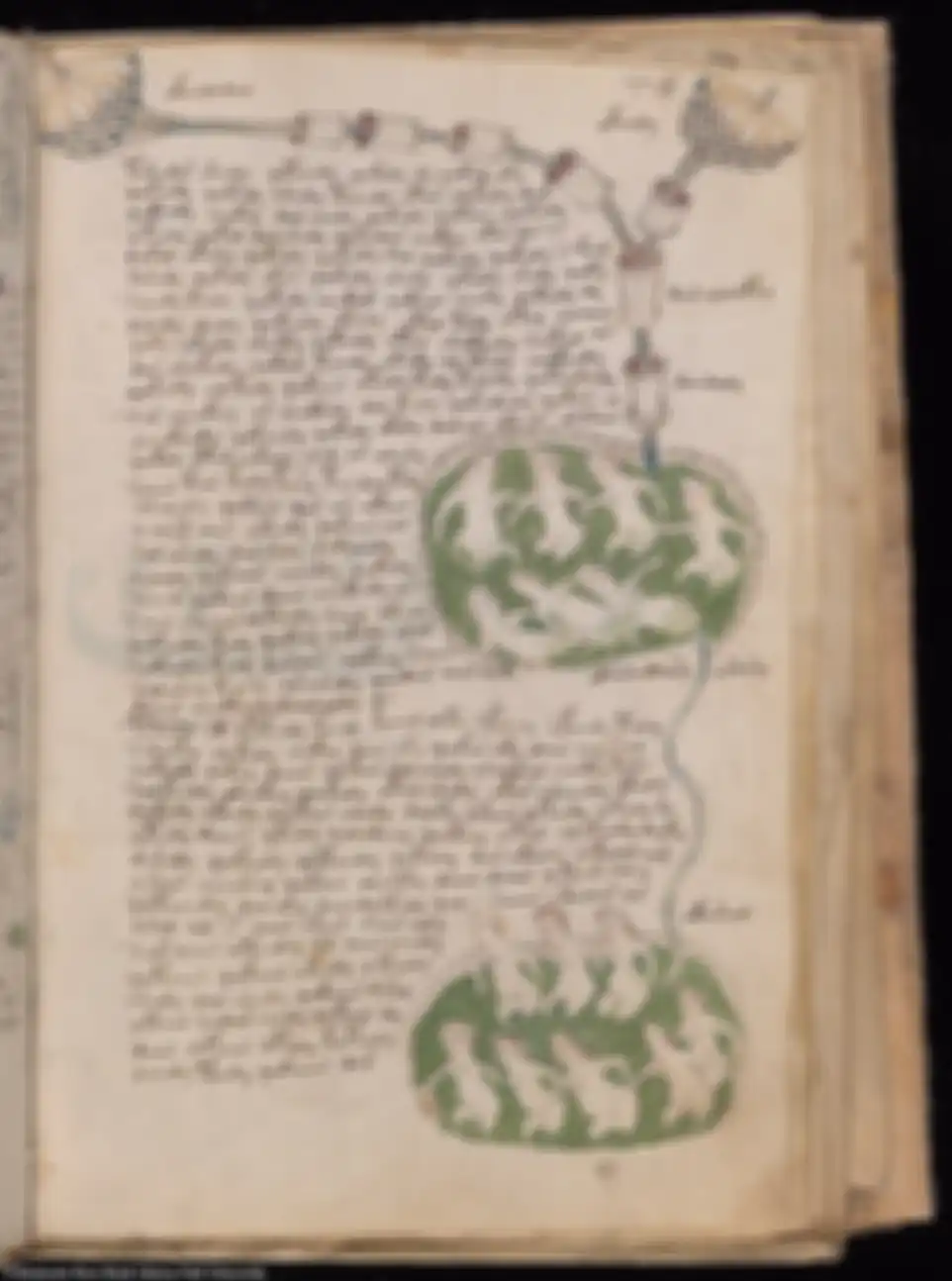 Buku-buku aneh yang pernah ditulis; Naskah Voynich