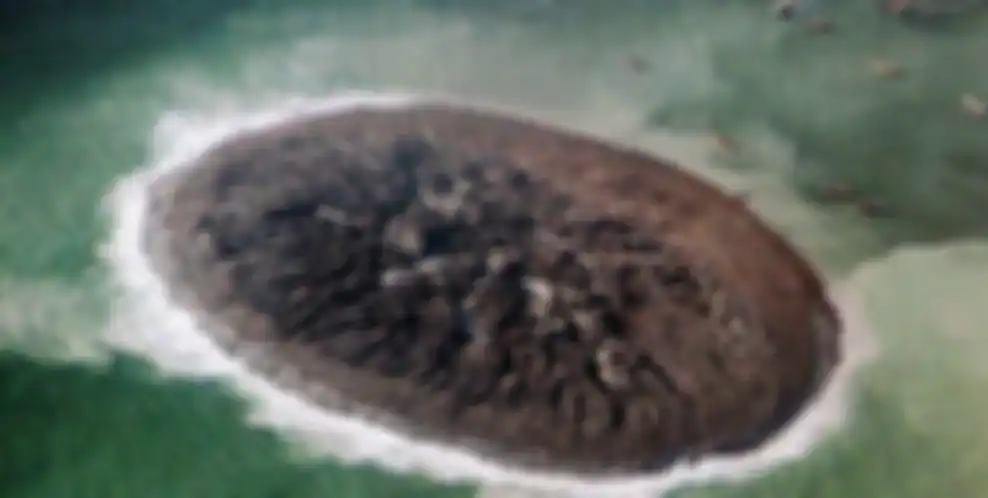 Pulau bermeja