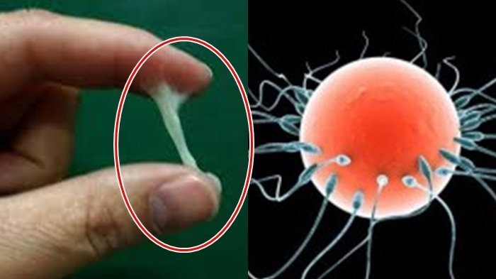 Qizlarda sperma dengizi