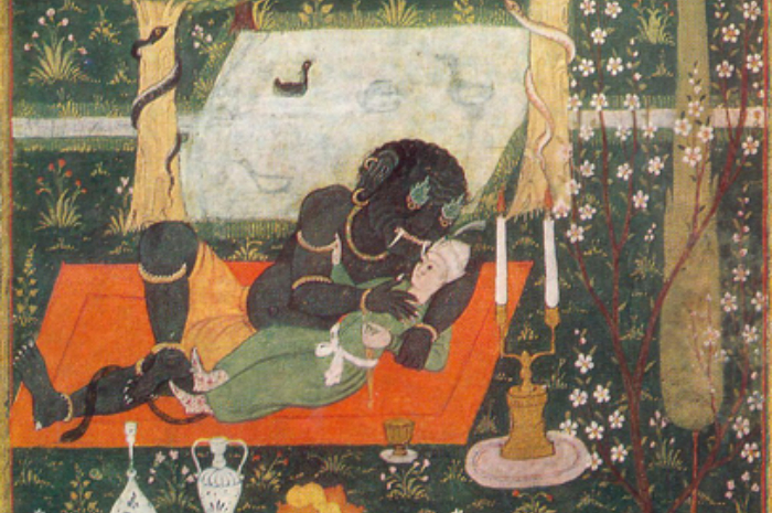 Eshakni qanday qilib qoyish kerak