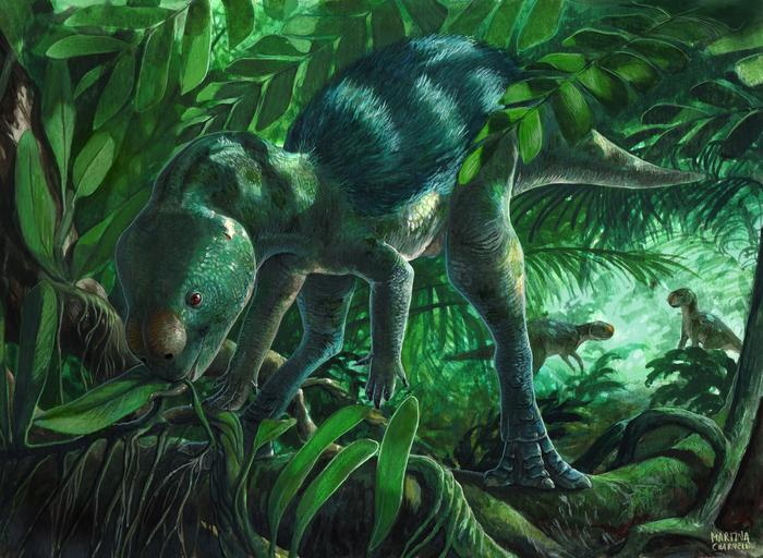 Foskeia pelendonum、進化の系統図を変えた新しいミニ恐竜